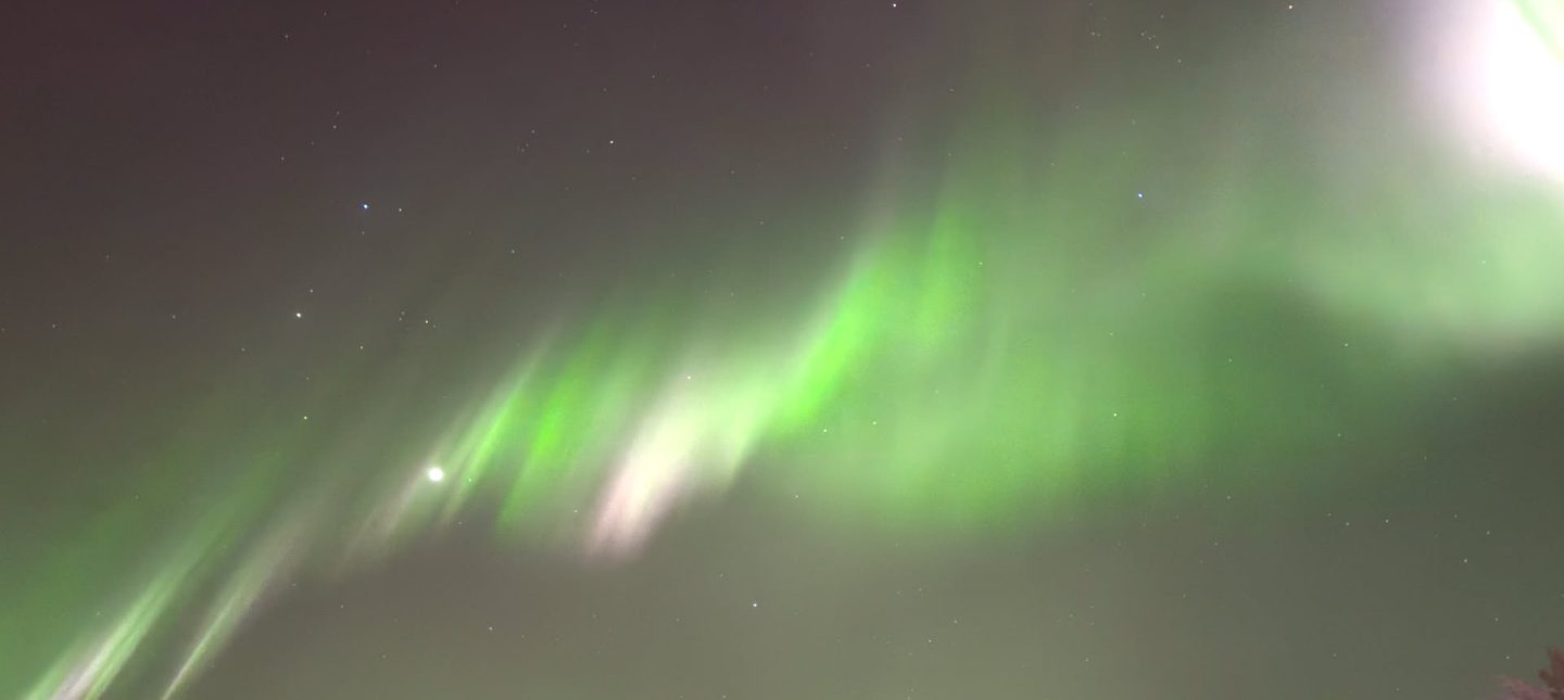 A green aurora curtain streaming across a star-filled sky above frost-covered spruce near Rovaniemi.